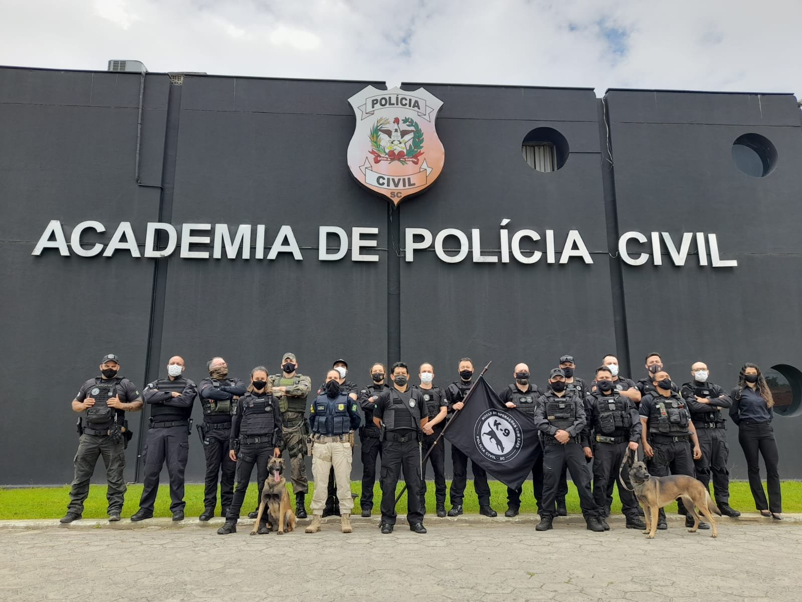 Cães Da Polícia Civil Catarinense Já Ajudaram A Apreender 130 Quilos De